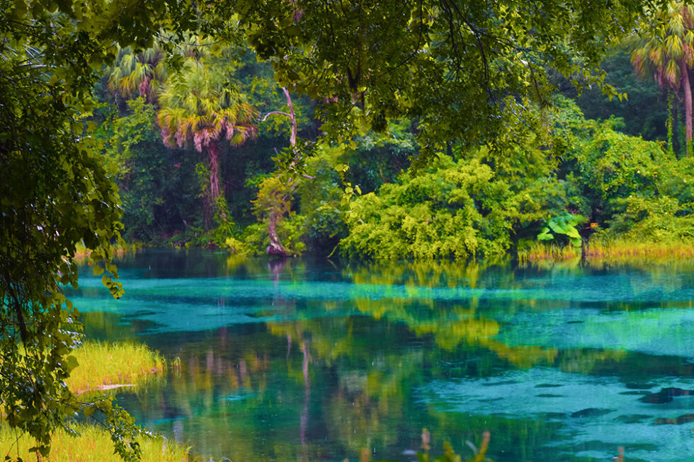 Florida State Parks — Top Picks | DESTINATION