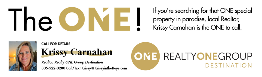 Krissy One Realtor ad